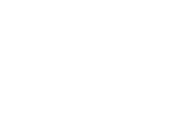 AegisSol Services